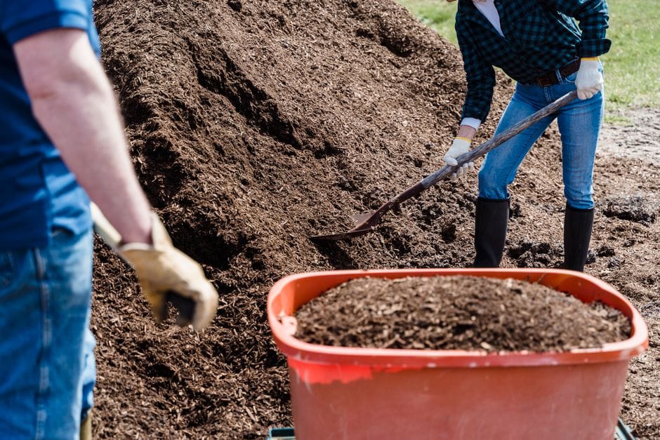 Folhas secas: como transformá-las em compostagem caseira