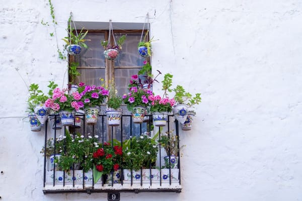 Decorar a varanda para a primavera