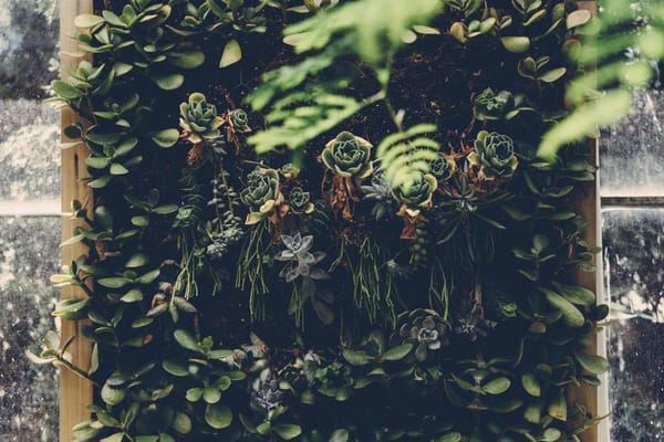 Hortas verticais para espaços pequenos