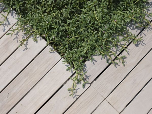 Manutenção do deck de madeira no verão
