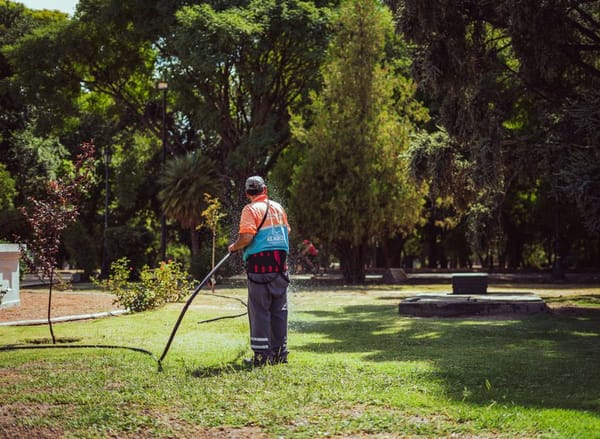 Preparar o relvado para a primavera
