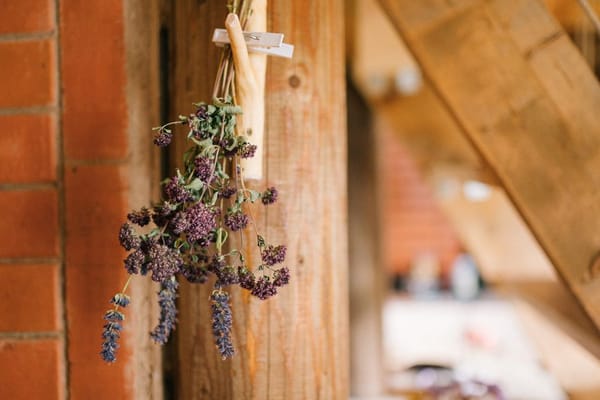Colher e secar ervas aromáticas para o ano inteiro