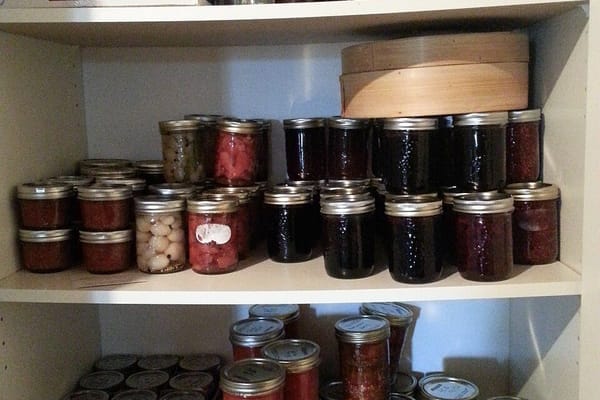 Conservas Caseiras de Verão: Como Aproveitar o Excesso de Tomate, Pimento e Fruta do Quintal em Agosto